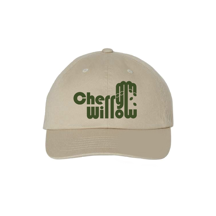 EcoWash Dad Hat