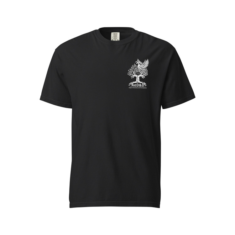 CWA x Aegrum Heavyweight T-Shirt